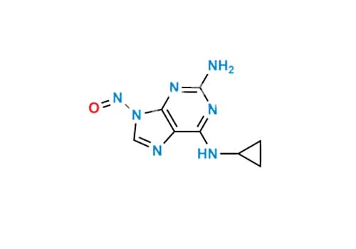 Abacavir Nitroso 3 Impurity