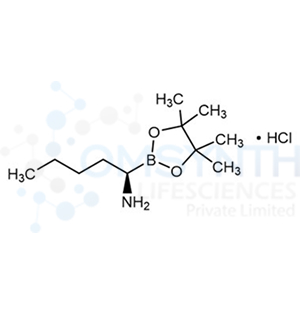 (R)-1-(4,4,5,5-Tetramethyl-1,3,2-dioxaborolan-2-yl)pentan-1-amine hydrochloride
