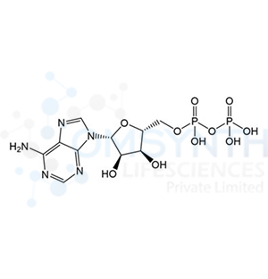 Adenosine Monophosphate