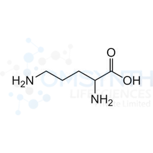 2,5-Diaminopentanoic Acid